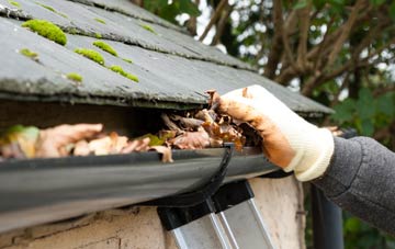 gutter cleaning West Lutton, North Yorkshire