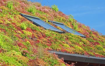 West Lutton living roof systems