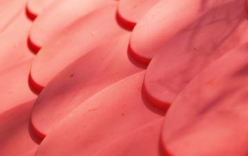 West Lutton plastic roof costs