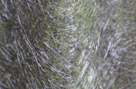 West Lutton fibreglass roof work